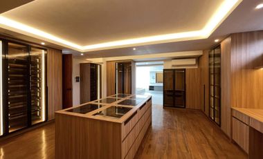 Brand New House and Lot Mansion For Sale Ayala Alabang Muntinlupa