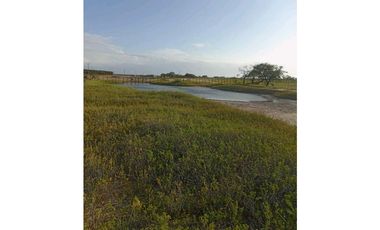 Venta Lote Mayapo La Guajira