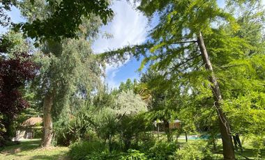 Preciosa casa en parcela rodeada de árboles nativos