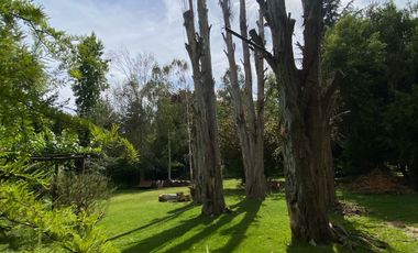 Preciosa casa en parcela rodeada de árboles nativos