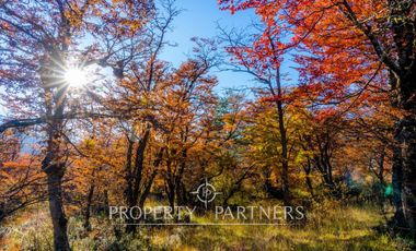 Patagonia, Excepcional Nacimiento del Rio Baker