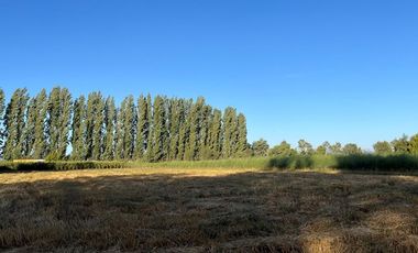 Campo Multipropósito y Paisajes Maravillosos