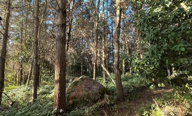 Campo Multipropósito y Paisajes Maravillosos