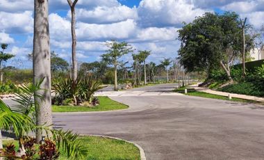 CASA DE 1 PISO EN VENTA EN MÉRIDA EN PRIVADA CUMBRES NOVO NORTE