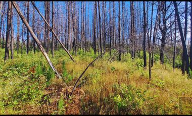 Parcela en venta en SANTA JUANA