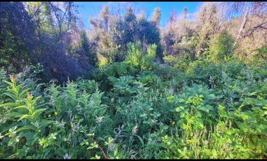 Parcela en venta en SANTA JUANA