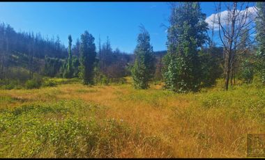 Parcela en venta en SANTA JUANA