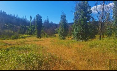 Parcela en venta en SANTA JUANA