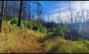 Parcela en venta en SANTA JUANA