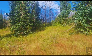 Parcela en venta en SANTA JUANA