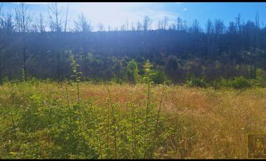 Parcela en venta en SANTA JUANA