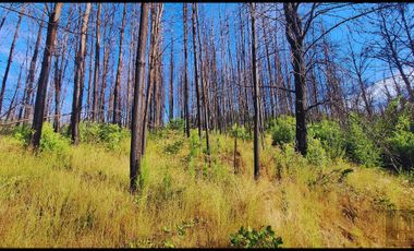 Parcela en venta en SANTA JUANA