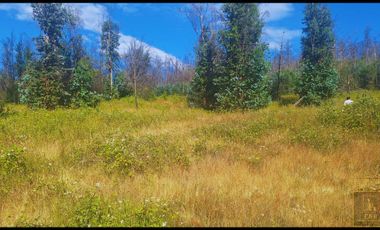 Parcela en venta en SANTA JUANA