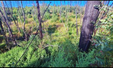 Parcela en venta en SANTA JUANA