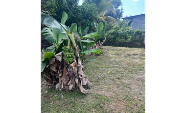 SE VENDE CASA JUAN DIAZ, CIUDAD RADIAL