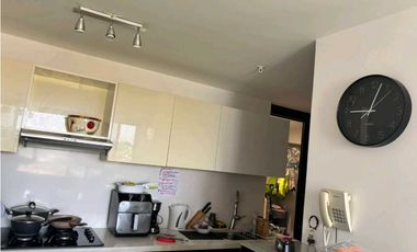 ALQUILO APARTAMENTO VILLA LUCRE PH PORTOALEGRE