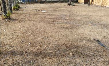 VENDO RESTAURANTE EN TERRENO DE 1490M2 EL FRANCES