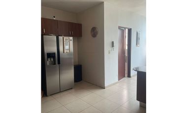 ALQUILER EN PAITILLA TORRE DEL PARQUE