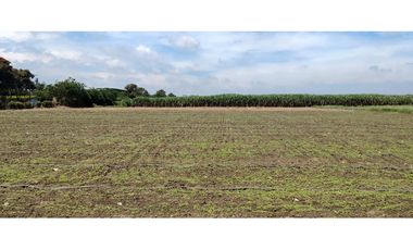 LOTE EN ROZO DE 85.000 M2 EN VENTA