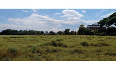 LOTE EN ROZO DE 85.000 M2 EN VENTA