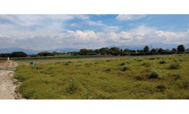 LOTE EN ROZO DE 85.000 M2 EN VENTA