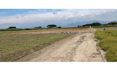 LOTE EN ROZO DE 85.000 M2 EN VENTA