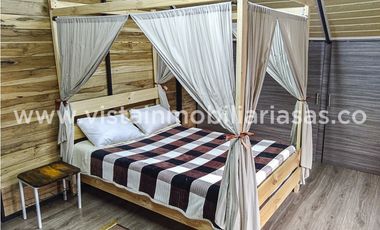 Arriendo Finca Sector Palestina, Caldas