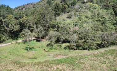 Lote campestre ideal para tu proyecto familiar, 10.000 m2 el Retiro