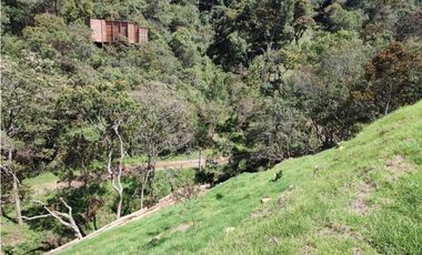 Lote campestre ideal para tu proyecto familiar, 10.000 m2 el Retiro