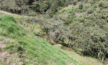 Lote campestre ideal para tu proyecto familiar, 10.000 m2 el Retiro