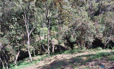 Lote campestre ideal para tu proyecto familiar, 10.000 m2 el Retiro