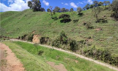 Lote campestre ideal para tu proyecto familiar, 10.000 m2 el Retiro