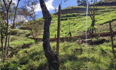 Lote campestre ideal para tu proyecto familiar, 10.000 m2 el Retiro