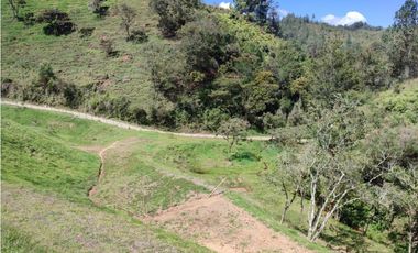 Lote campestre ideal para tu proyecto familiar, 10.000 m2 el Retiro