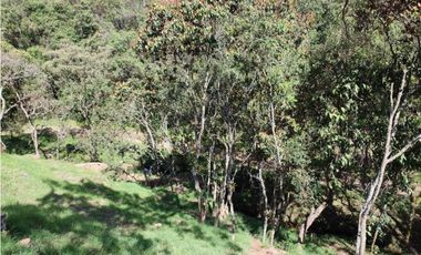 Lote campestre ideal para tu proyecto familiar, 10.000 m2 el Retiro