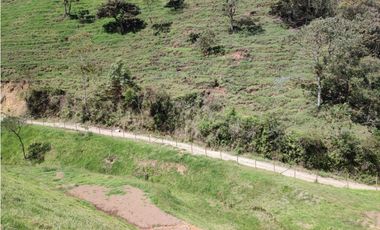 Lote campestre ideal para tu proyecto familiar, 10.000 m2 el Retiro