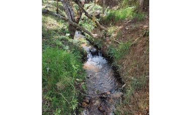 Lote campestre ideal para tu proyecto familiar, 10.000 m2 el Retiro