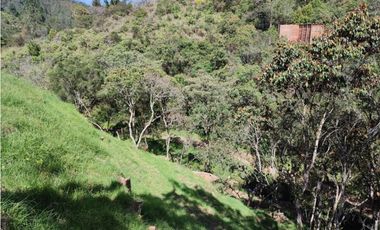 Lote campestre ideal para tu proyecto familiar, 10.000 m2 el Retiro