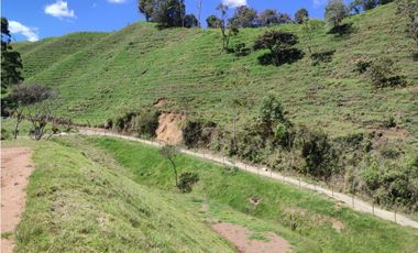 Lote campestre ideal para tu proyecto familiar, 10.000 m2 el Retiro