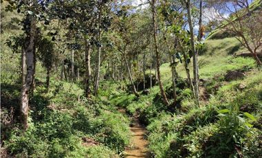 Lote campestre ideal para tu proyecto familiar, 10.000 m2 el Retiro