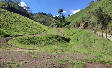 Lote campestre ideal para tu proyecto familiar, 10.000 m2 el Retiro