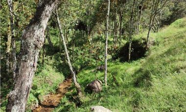 Lote campestre ideal para tu proyecto familiar, 10.000 m2 el Retiro