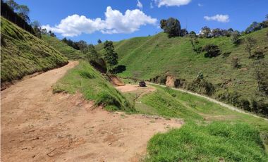 Lote campestre ideal para tu proyecto familiar, 10.000 m2 el Retiro