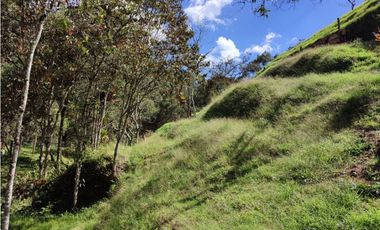 Lote campestre ideal para tu proyecto familiar, 10.000 m2 el Retiro