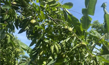 CASA LOTE CAMPESTRE ARROYO DE PIEDRA  VISTA AL MAR