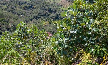 FINCA LISBOA EN VENTA SASAIMA