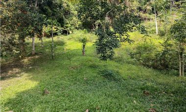 FINCA LISBOA EN VENTA SASAIMA