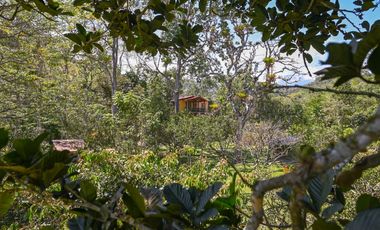 FINCA LISBOA EN VENTA SASAIMA