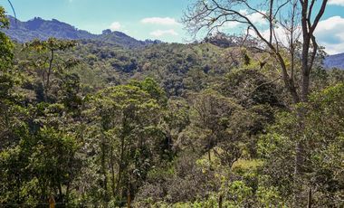 FINCA LISBOA EN VENTA SASAIMA