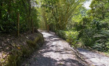FINCA LISBOA EN VENTA SASAIMA
